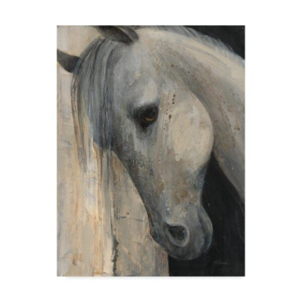 Albena Hristova 'Beauty I' Canvas Art, 14x19, Trademark Fine Art, Mfr#: WAP04921-C1419GG